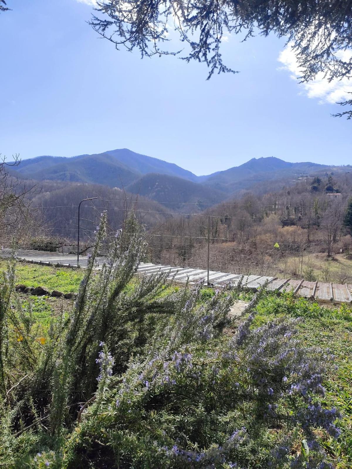 Casa Louisa Bed and Breakfast Serralongue Εξωτερικό φωτογραφία